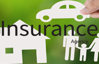 Insurance Agency in North  District