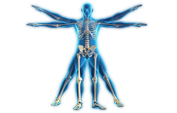 Physiotherapist in Narayanpet